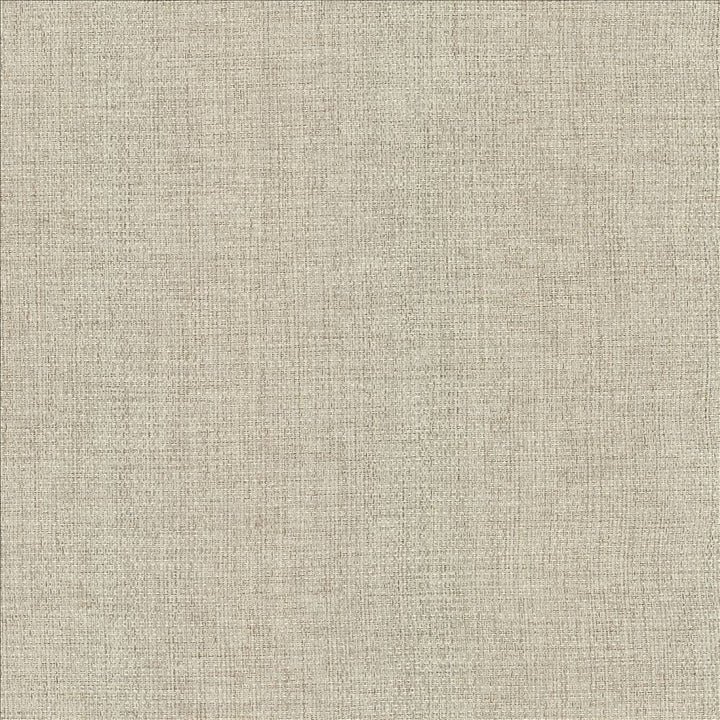 Baskerville Bay Natural  by Kasmir Fabric 5185 85% Polyester 15% Cotton  CHINA  </p><p>Repeat: Horizontal: N/A and Vertical: N/A 54  - Fabric Carolina -