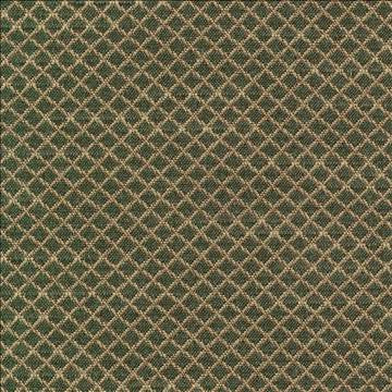 Bayswater Basil by Kasmir Fabric 1382 58% Cotton 42% Polyester TAIWAN 30,000 Wyzenbeek Double Rubs H: 2/8 inches, V: 2/8 inches 54 - 55 - Fabric Carolina - Kasmir