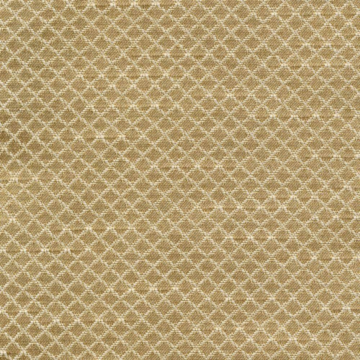 Bayswater Champagne by Kasmir Fabric 1382 58% Cotton 42% Polyester TAIWAN 30,000 Wyzenbeek Double Rubs H: 2/8 inches, V:2/8 inches 54 - 55 - Fabric Carolina - Kasmir