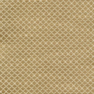 Bayswater Champagne by Kasmir Fabric