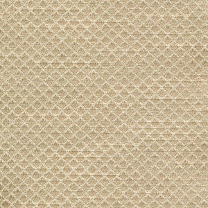 Bayswater Cream by Kasmir Fabric