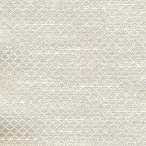 Bayswater Ivory by Kasmir Fabric