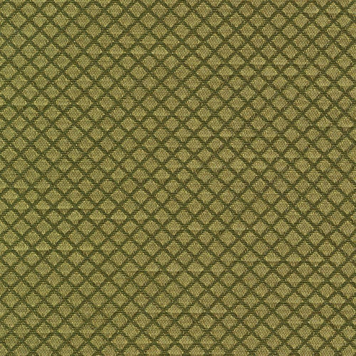 Bayswater Kiwi by Kasmir Fabric 1382 58% Cotton 42% Polyester TAIWAN 30,000 Wyzenbeek Double Rubs H: 2/8 inches, V:2/8 inches 54 - 55 - Fabric Carolina - Kasmir