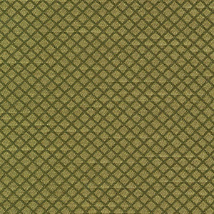 Bayswater Kiwi by Kasmir Fabric