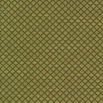 Bayswater Kiwi by Kasmir Fabric 1382 58% Cotton 42% Polyester TAIWAN 30,000 Wyzenbeek Double Rubs H: 2/8 inches, V: 2/8 inches 54 - 55 - Fabric Carolina - Kasmir