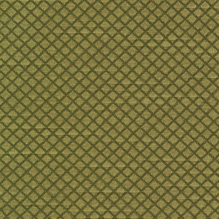 Bayswater Kiwi by Kasmir Fabric 1382 58% Cotton
42% Polyester
 TAIWAN </p><p>Repeat: Horizontal: 2/8 inches and Vertical: 2/8 inches 54 - 55 - Fabric Carolina -