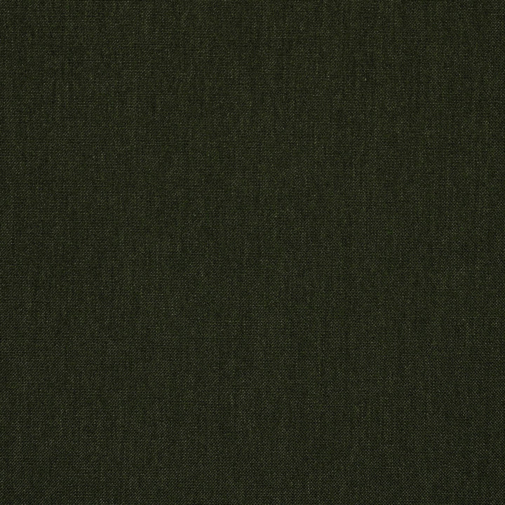 48141 Cast Ivy by Sunbrella Fabric Sunbrella® Acrylic, Sunbrella® Polyester, Sunbrella® Non-Phthalate PVC USA or Imported 5-Year Horizontal: and Vertical: 54 in. - Fabric Carolina -