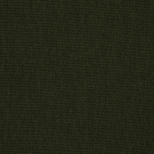 48141 Cast Ivy by Sunbrella Fabric
