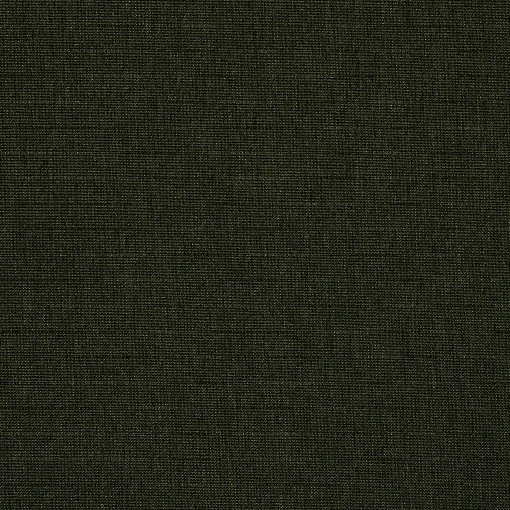48141 Cast Ivy by Sunbrella Fabric Sunbrella® Acrylic, Sunbrella® Polyester, Sunbrella® Non-Phthalate PVC USA or Imported 5-Year Horizontal: and Vertical: 54 in. - Fabric Carolina -