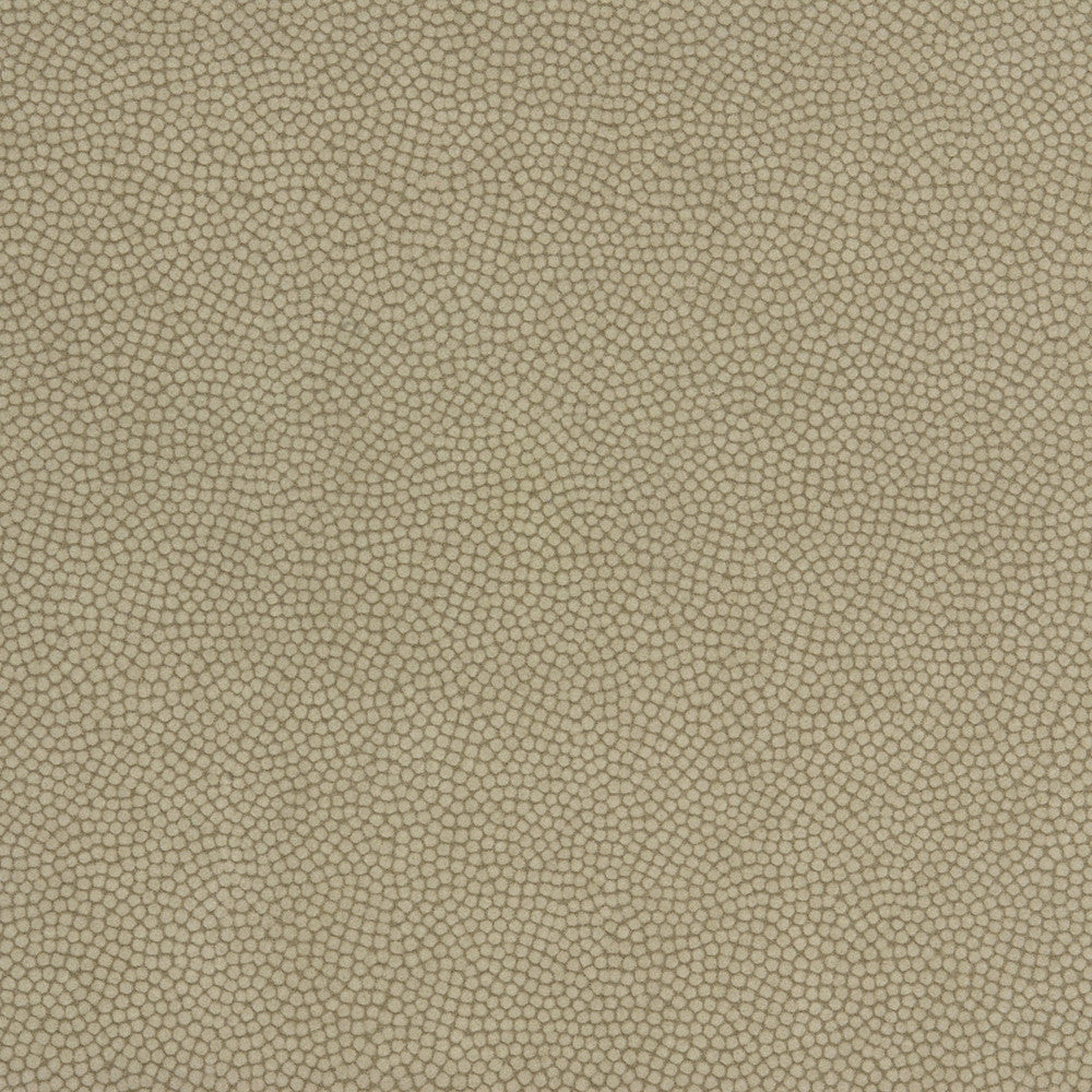 Beautymark Greystone by Kravet Couture Fabric