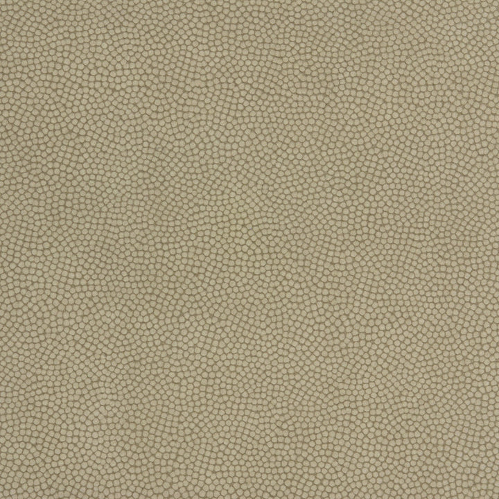 Beautymark Greystone by Kravet Couture Fabric