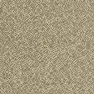 Beautymark Greystone by Kravet Couture Fabric