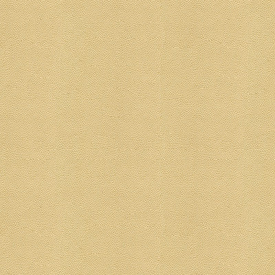 Beautymark Sand by Kravet Couture Fabric