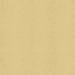 Beautymark Sand by Kravet Couture Fabric