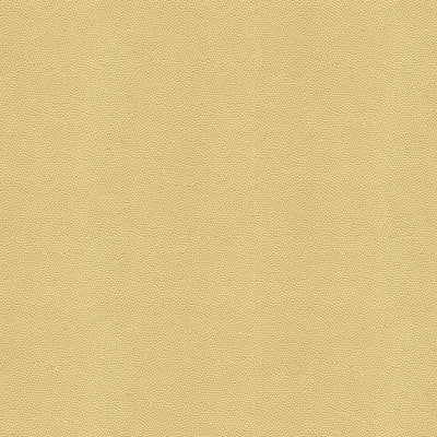 Beautymark Fog by Kravet Couture Fabric