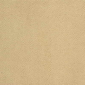 Beautymark Sandstone by Kravet Couture Fabric