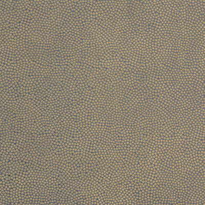 Beautymark Umber by Kravet Couture Fabric