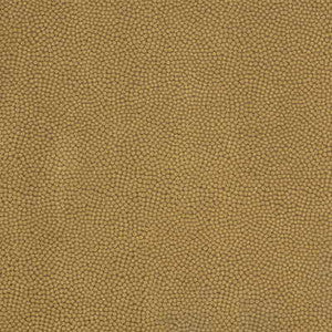 Beautymark Teak by Kravet Couture Fabric