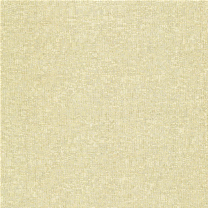 Becker Cream by Kasmir Fabric 5118 100% Polyester
 USA 33,000 Wyzenbeek Double Rubs Horizontal: N/A and Vertical: N/A 56 - Fabric Carolina -