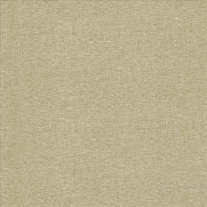 Becker Mushroom by Kasmir Fabric 5118 100% Polyester
 USA 33,000 Wyzenbeek Double Rubs Horizontal: N/A and Vertical: N/A 56 - Fabric Carolina -