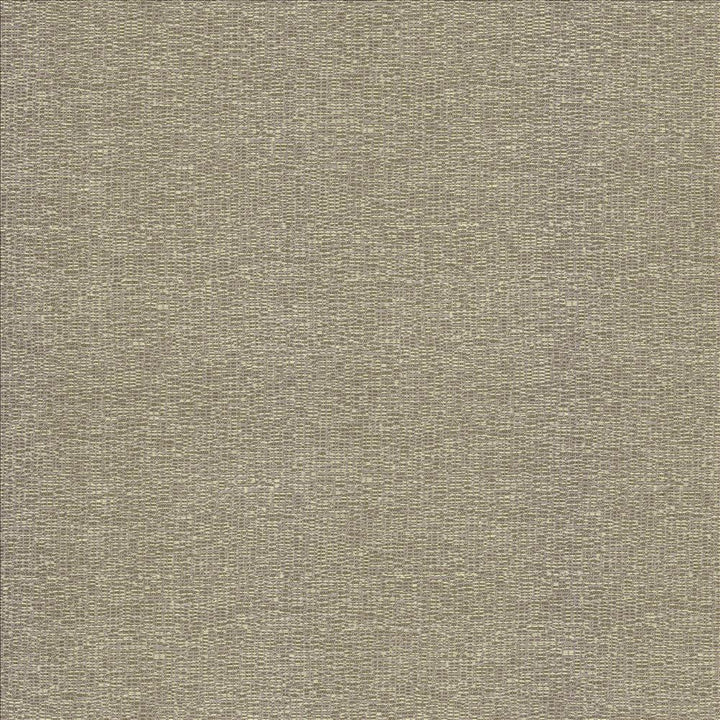 Becker Smoke by Kasmir Fabric 5118 100% Polyester
 USA </p><p>Repeat: Horizontal: N/A and Vertical: N/A 56 - Fabric Carolina -