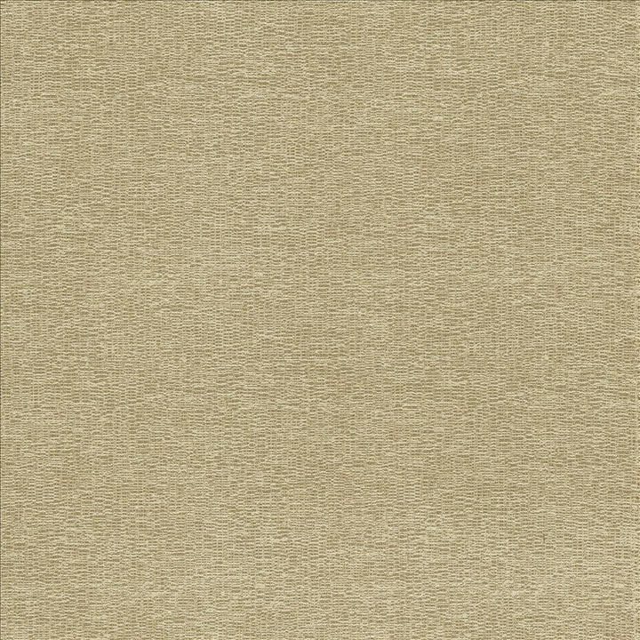 Becker Suede by Kasmir Fabric 5118 100% Polyester
 USA </p><p>Repeat: Horizontal: N/A and Vertical: N/A 56 - Fabric Carolina -