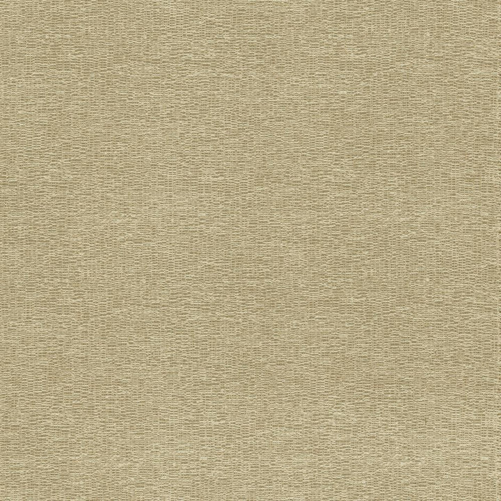 Becker Suede by Kasmir Fabric 5118 100% Polyester
 USA </p><p>Repeat: Horizontal: N/A and Vertical: N/A 56 - Fabric Carolina -