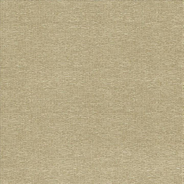 Becker Suede by Kasmir Fabric 5118 100% Polyester
 USA 33,000 Wyzenbeek Double Rubs </p><p>Repeat: Horizontal: N/A and Vertical: N/A 56 - Fabric Carolina -