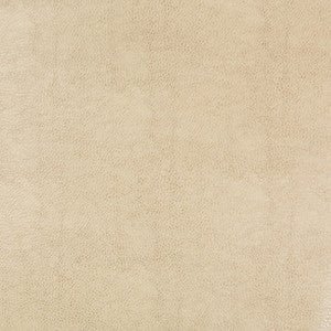 Kravet Design Beholder-116 by Kravet Design Fabric