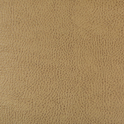 Kravet Design Beholder-16 by Kravet Design Fabric
