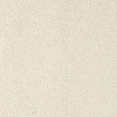 Belford Limestone by Kravet Design Fabric