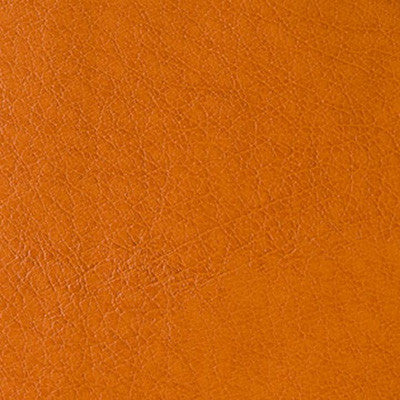 Belford Canyon by Kravet Design Fabric