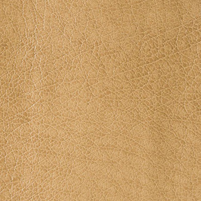 Belford Praline by Kravet Design Fabric