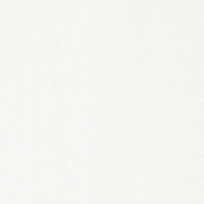 Belford Tusk by Kravet Design Fabric