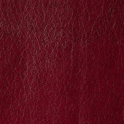 Belford Marooned by Kravet Design Fabric