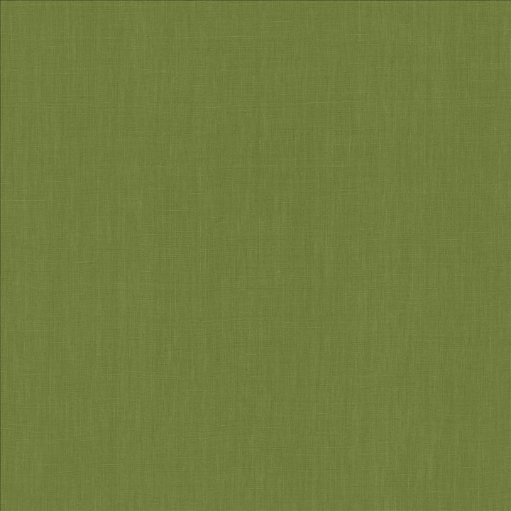 Belgique Basil by Kasmir Fabric 5176 100% Linen
 CHINA 12,000 Martindale Cycles </p><p>Repeat: Horizontal: N/A and Vertical: N/A 55 - Fabric Carolina -