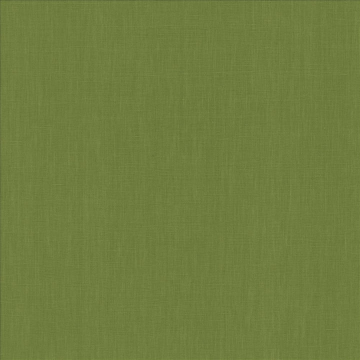 Belgique Basil by Kasmir Fabric 5176 100% Linen
 CHINA </p><p>Repeat: Horizontal: N/A and Vertical: N/A 55 - 57 - Fabric Carolina -