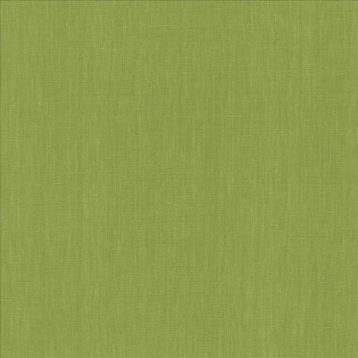 Belgique Basil by Kasmir Fabric 5176 100% Linen
 CHINA </p><p>Repeat: Horizontal: N/A and Vertical: N/A 55 - 57 - Fabric Carolina -