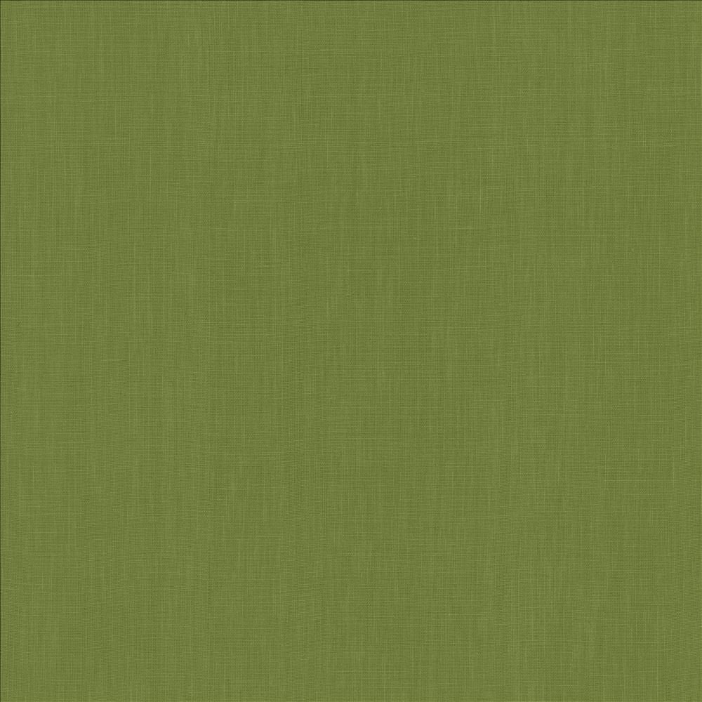 Belgique Basil by Kasmir Fabric 5176 100% Linen
 CHINA 12,000 Martindale Cycles </p><p>Repeat: Horizontal: N/A and Vertical: N/A 55 - Fabric Carolina -