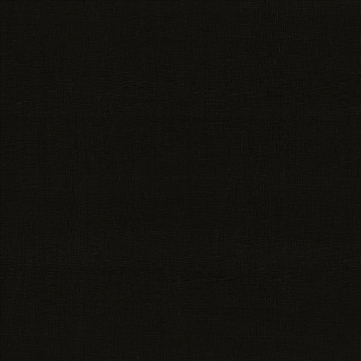 Belgique Black by Kasmir Fabric 5176 100% Linen
 CHINA 12,000 Martindale Cycles </p><p>Repeat: Horizontal: N/A and Vertical: N/A 55 - Fabric Carolina -