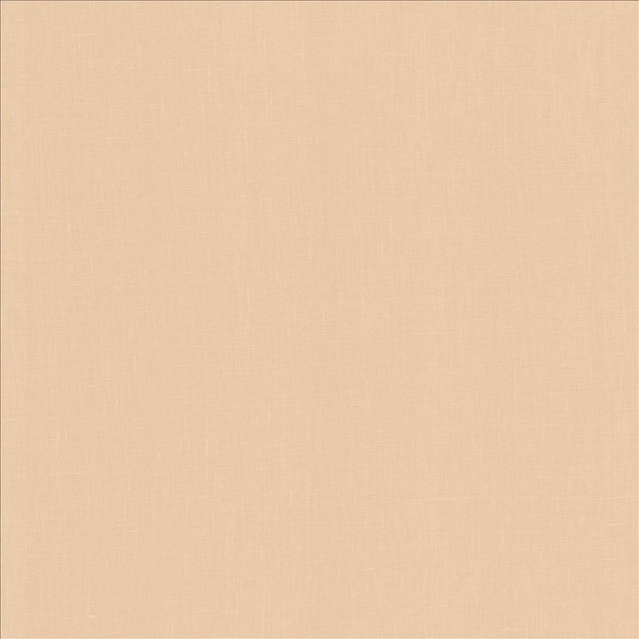 Belgique Blush by Kasmir Fabric 1408 100% Linen
 CHINA 12,000 Martindale Cycles </p><p>Repeat: Horizontal: N/A and Vertical: N/A 55 - Fabric Carolina -