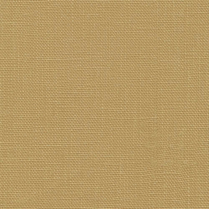 Belgique Camel by Kasmir Fabric 5103 100% Linen
 CHINA 12,000 Martindale Cycles Horizontal: N/A and Vertical: N/A 55 - Fabric Carolina -
