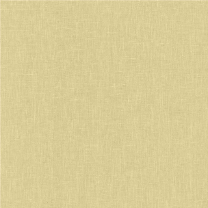 Belgique Celery by Kasmir Fabric 1408 100% Linen
 CHINA 12,000 Martindale Cycles </p><p>Repeat: Horizontal: N/A and Vertical: N/A 55 - Fabric Carolina -