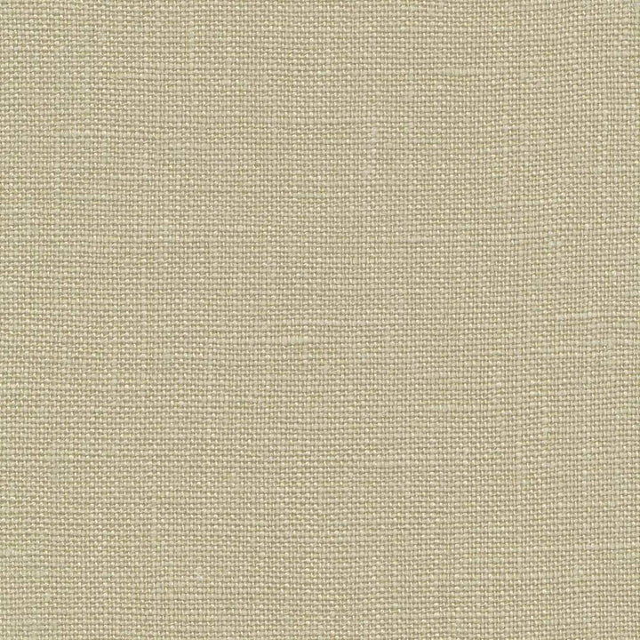 Belgique Celery by Kasmir Fabric 1408 100% Linen CHINA 12,000 Martindale Cycles H: N/A, V:N/A 55 - 57 - Fabric Carolina - Kasmir