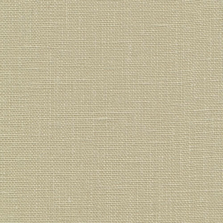 Belgique Celery by Kasmir Fabric 1408 100% Linen CHINA 12,000 Martindale Cycles Horizontal: 0 Inches and Vertical: 0 Inches 55 - 57 - Fabric Carolina -