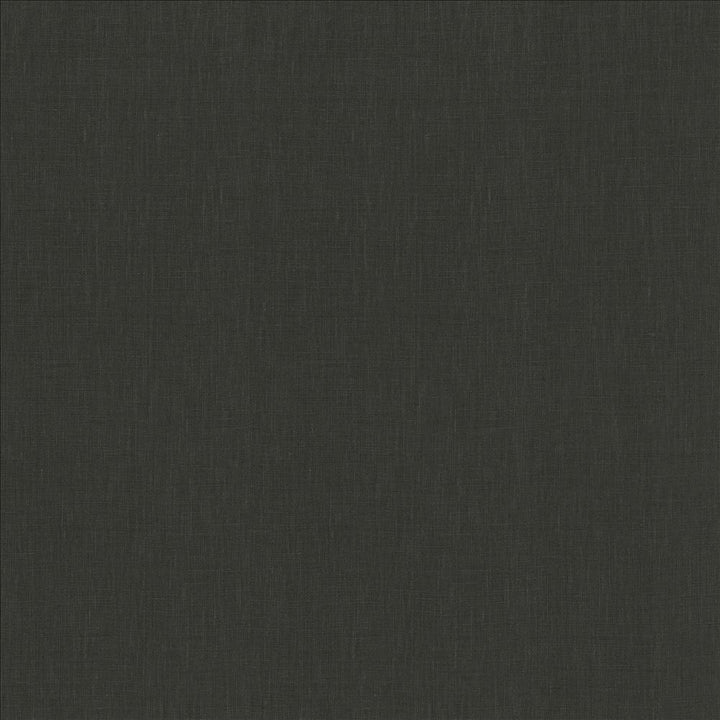 Belgique Charcoal by Kasmir Fabric 5176 100% Linen
 CHINA 12,000 Martindale Cycles </p><p>Repeat: Horizontal: N/A and Vertical: N/A 55 - Fabric Carolina -