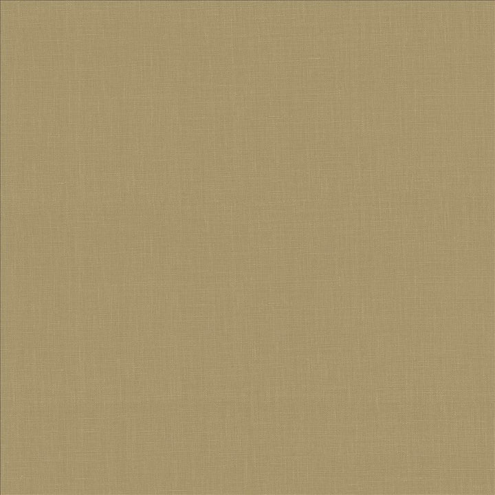 Belgique Desert by Kasmir Fabric 1408 100% Linen
 CHINA </p><p>Repeat: Horizontal: N/A and Vertical: N/A 55 - 57 - Fabric Carolina -