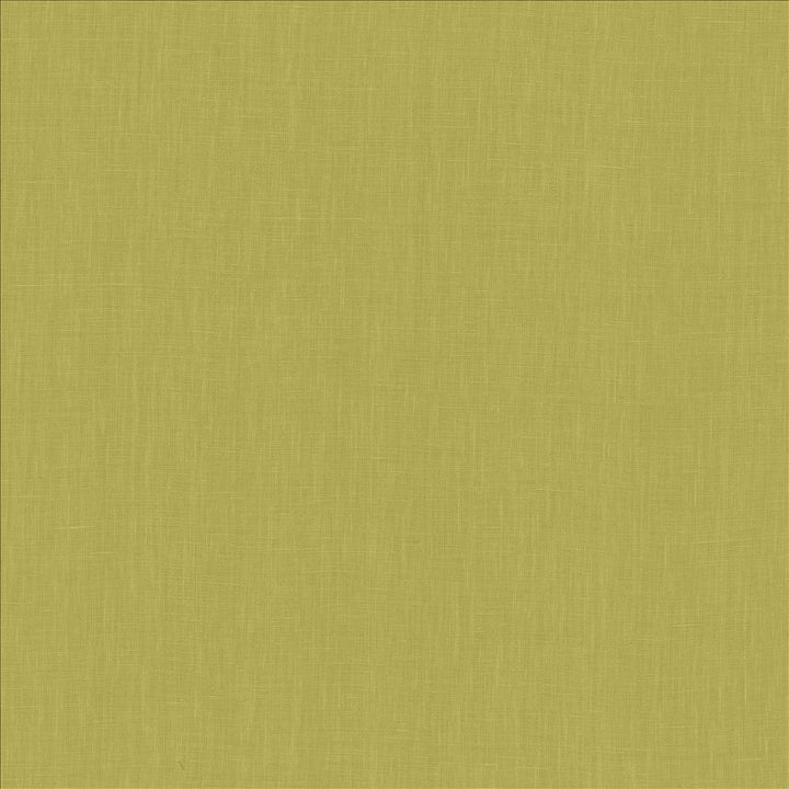 Belgique Fern by Kasmir Fabric 5103 100% Linen
 CHINA </p><p>Repeat: Horizontal: N/A and Vertical: N/A 55 - 57 - Fabric Carolina -