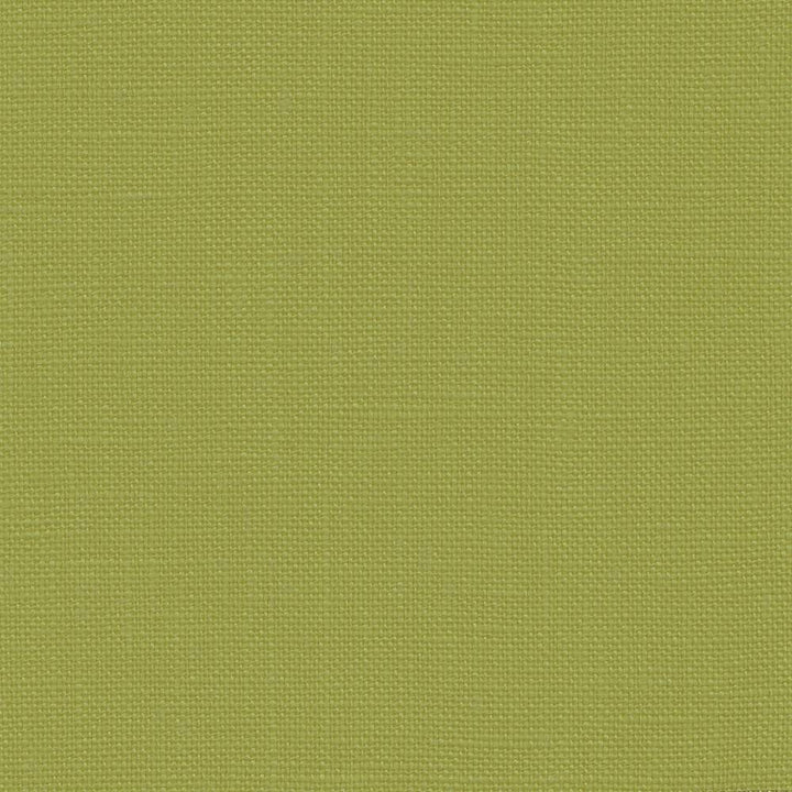 Belgique Fern by Kasmir Fabric 1408 100% Linen CHINA 12,000 Martindale Cycles H: N/A, V:N/A 55 - 57 - Fabric Carolina - Kasmir