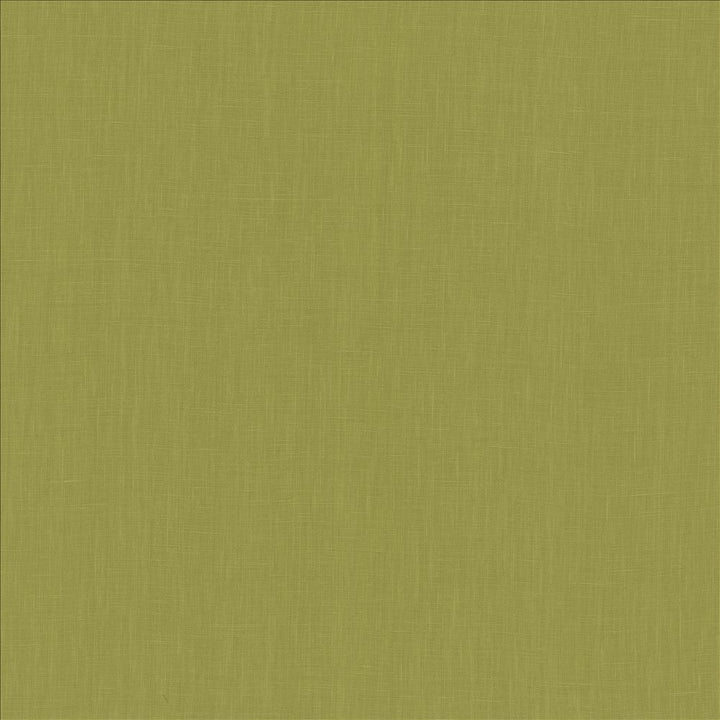 Belgique Fern by Kasmir Fabric 5176 100% Linen
 CHINA </p><p>Repeat: Horizontal: N/A and Vertical: N/A 55 - 57 - Fabric Carolina -